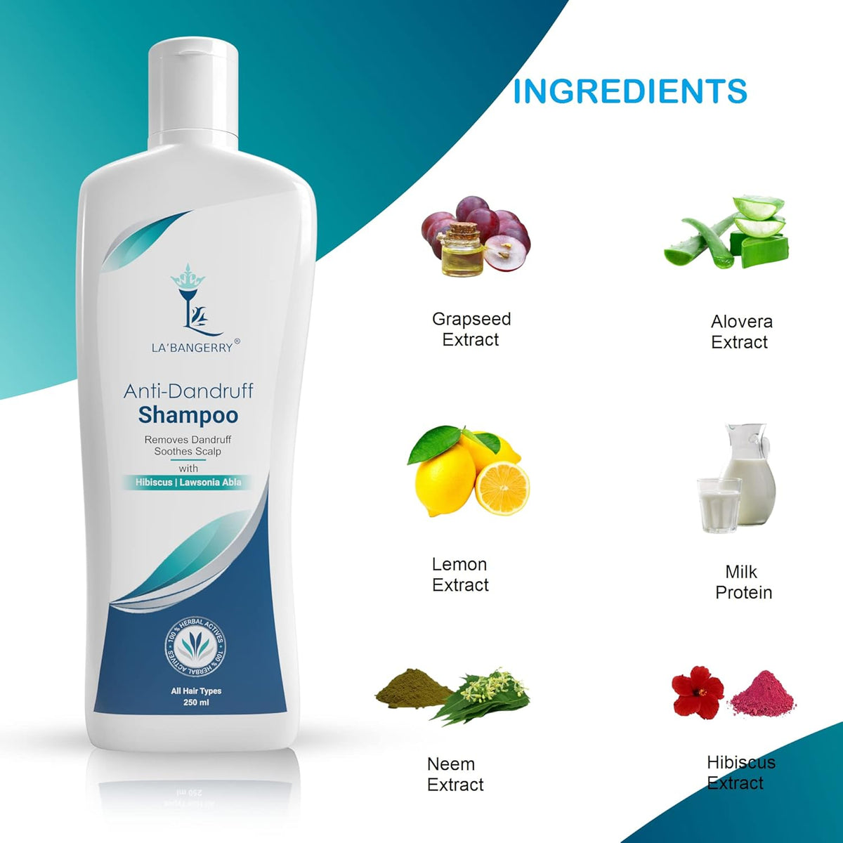 Best Anti Dandruff Shampoo for Women & Men - La'bangerry