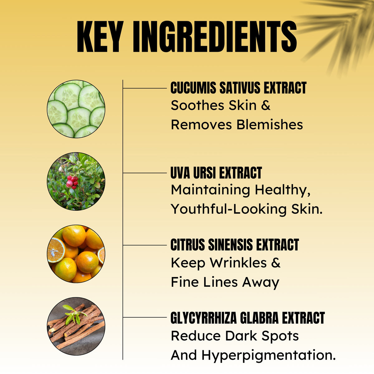D tan Facila Kit Ingredients