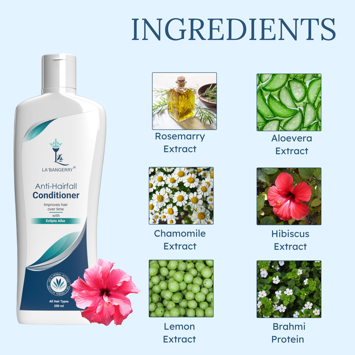 Ingredients of Anti hair fall Shampoo