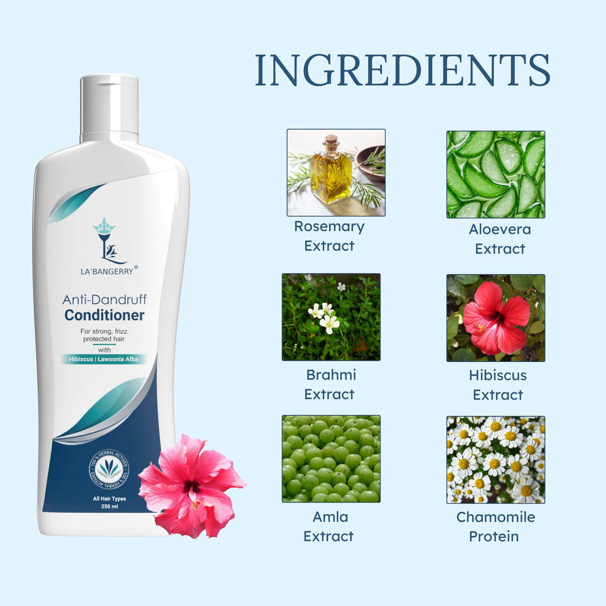 ingredients of Anti dandruff conditioner