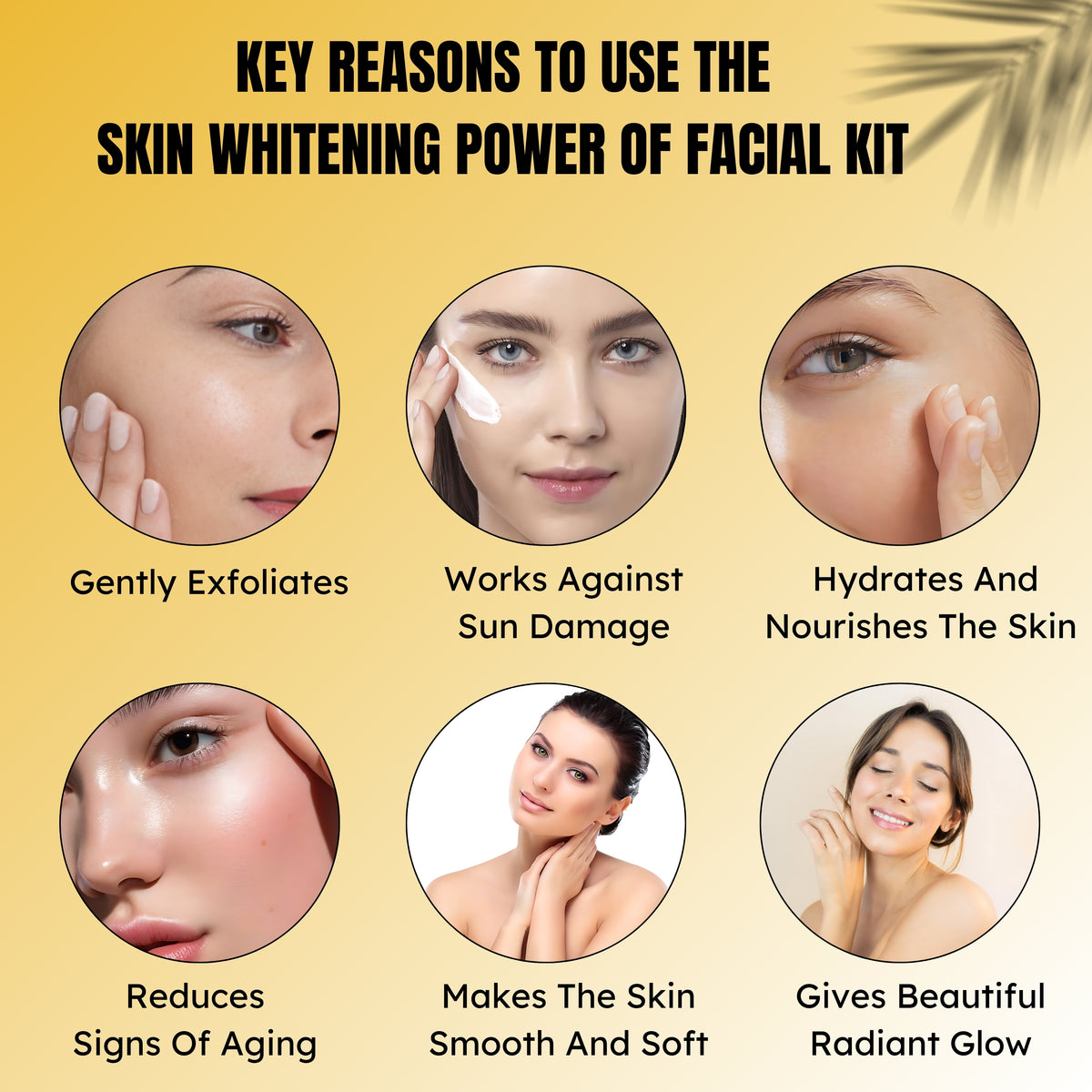 Best Facial Kit for women and Men